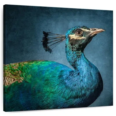 Ebern Designs Crowle Blue Peacock Portrait
