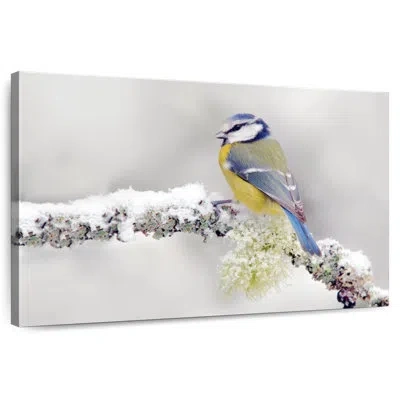 Ebern Designs Crowle Blue Tit Songbird In Yellow