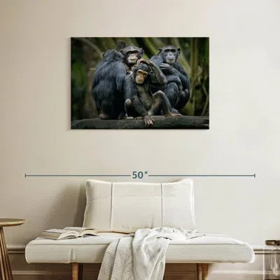 Ebern Designs Crowle Chimps And Bonobos In Black