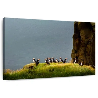 Ebern Designs Crowle Cliff Puffin Birds