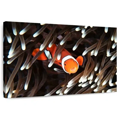 Ebern Designs Crowle Happy Clownfish