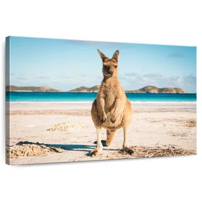 Ebern Designs Crowle Lucky Bay Kangaroo In Blue