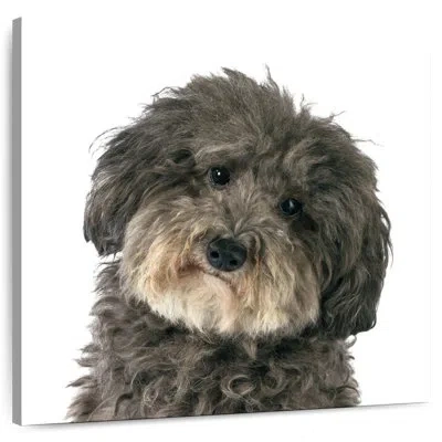 Ebern Designs Crowle Molly The Dog