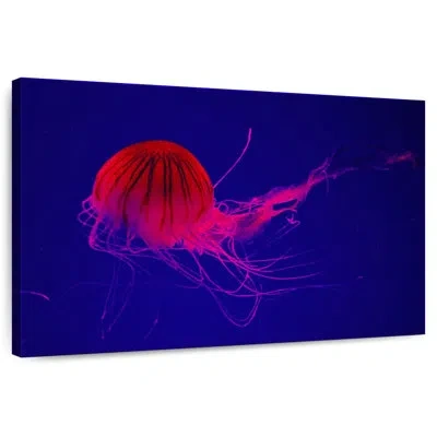 Ebern Designs Crowle Red Medusa Jellyfish