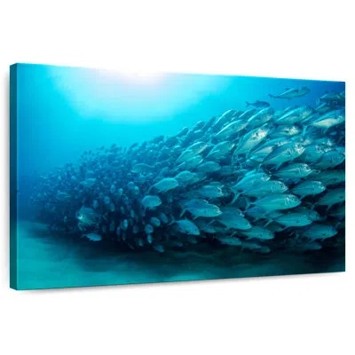 Ebern Designs Crowle School Of Bass In Teal