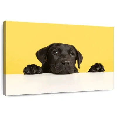 Ebern Designs Cute Black Lab In Yellow