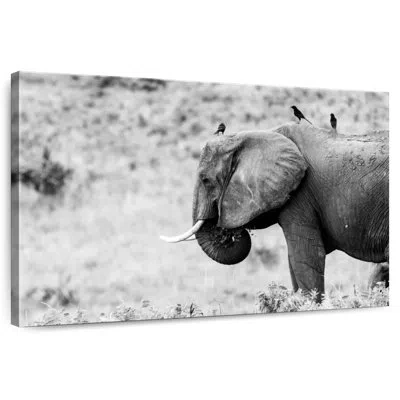Ebern Designs Elephant And Friends In Black