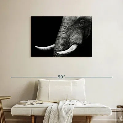Ebern Designs Elephant Close Up In Black