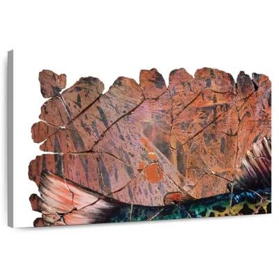 Ebern Designs Fresco Red Trout White Background In Orange