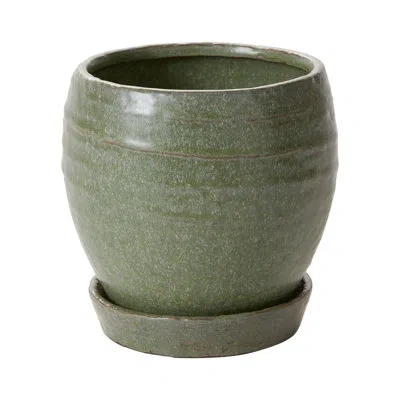 Ebern Designs Helmuts Bradford Ceramic Pot Planter In Green