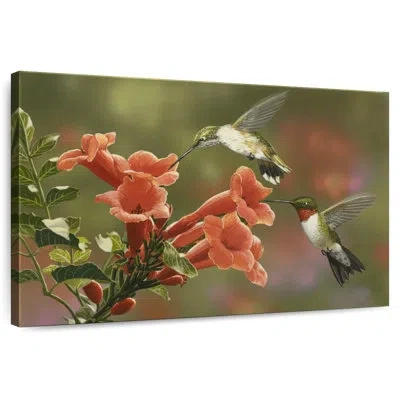 Ebern Designs Hummingbirds And Trumpet Flowers In Gray