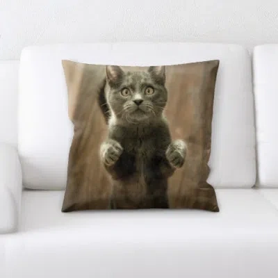 Ebern Designs Lassiter Cat Portrait Throw Pillow