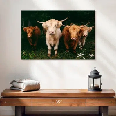 Ebern Designs Light Haired Highland Cows In Black