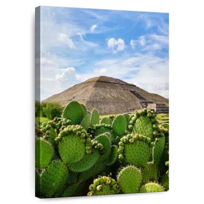 Ebern Designs Lilie Teotihuacan Over Cactus