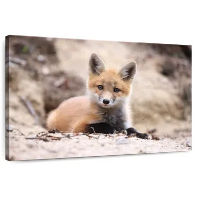 Ebern Designs Little Brown Fox In Beige