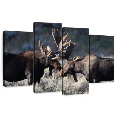 Ebern Designs Moose In Grand Teton In Brown