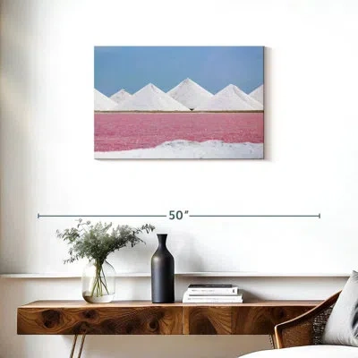 Ebern Designs Nicci Bonaire Island Salt Plant