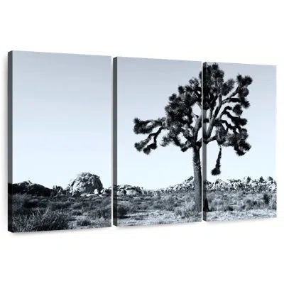 Ebern Designs Nicci Joshua Tree National Park Vi In Gray