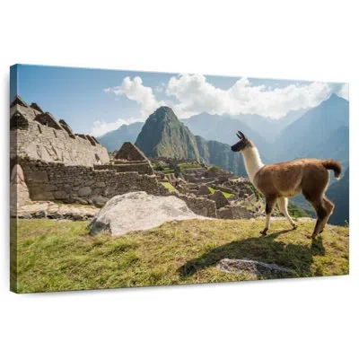 Ebern Designs Nicci Llama From Machu Picchu