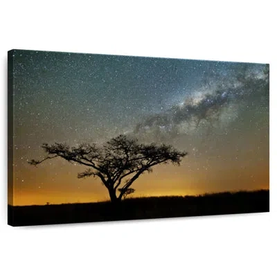 Ebern Designs Oberle Milky Way Over Africa