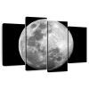 Ebern Designs Oberle Simple Moon In Black