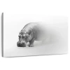 Ebern Designs Phantom Hippo In White