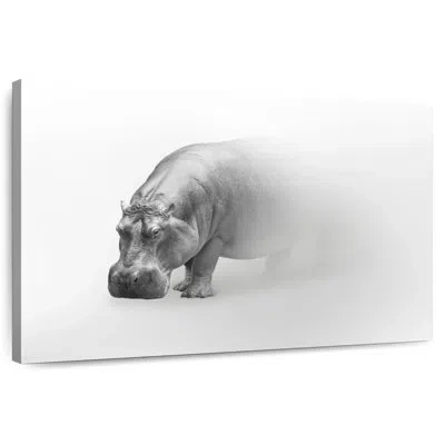 Ebern Designs Phantom Hippo In White