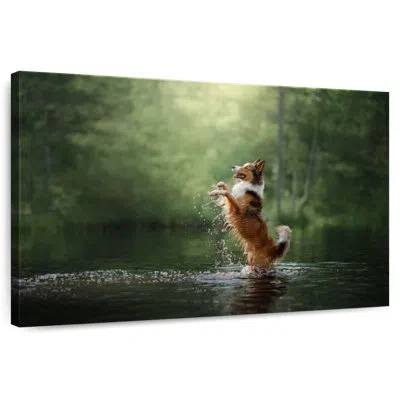 Ebern Designs Playful Lake Dog In Brown