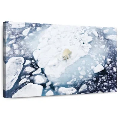 Ebern Designs Polar Bear In Spitsbergen In Purple