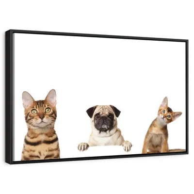 Ebern Designs Pug And Cats In White