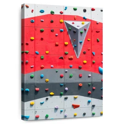 Ebern Designs Sireci Indoor Climbing