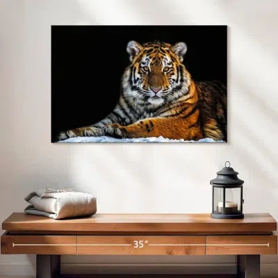 Ebern Designs Tiger Snapshot In Black