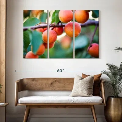 Ebern Designs Yarlin Apricots For Harvest In Gray