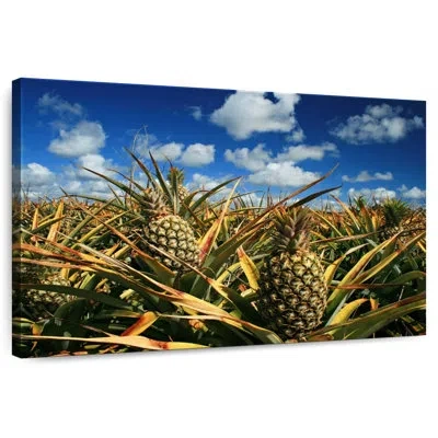 Ebern Designs Yarlin Thailand Pineapples
