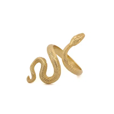 Ebru Jewelry Women's Cycle Of Life Snake Gold Vermeil Ring - Gold