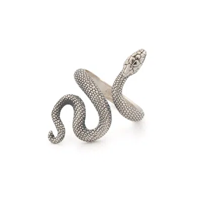 Ebru Jewelry Women's Cycle Of Life Snake Sterling Silver Ring - Silver