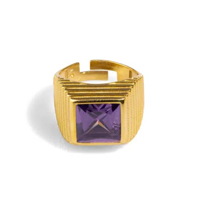 Ebru Jewelry Women's Gold / Pink / Purple Majestic Amethyst & Gold Vermeil Chunky Signet Ring - Purple In Multi