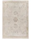Ecarpet Cambridge Traditional Area Rug In Nude