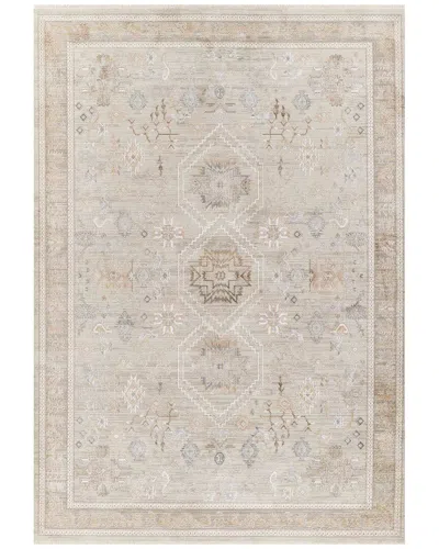Ecarpet Cambridge Traditional Area Rug In Multi