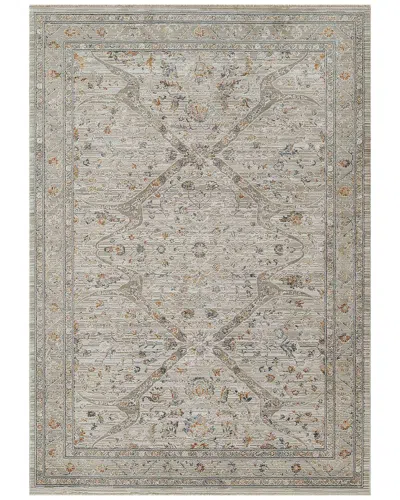 Ecarpet Cambridge Traditional Area Rug In Neutral