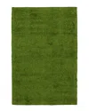 ECARPET ECARPET FAUX GRASS INDOOR/OUTDOOR RUG