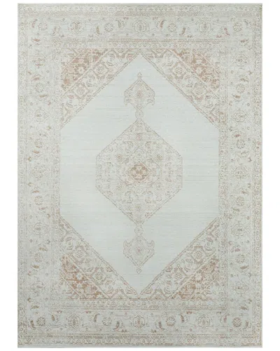 Ecarpet Isabella Traditional Area Rug In Brown