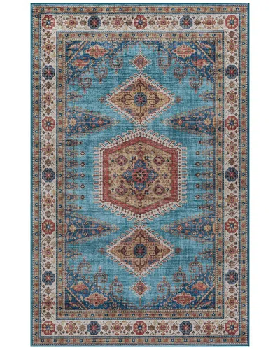 Ecarpet Karachi Traditional Area Rug In Blue