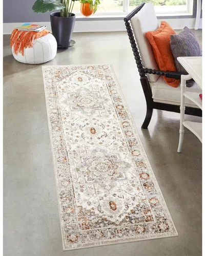 Ecarpet Paradox Traditional Rug In Multi