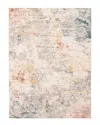 Ecarpet Stellar Vintage Distressed Rug In Grey