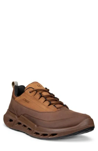 Ecco Biom 720 Low Top Waterproof Sneaker In Brown