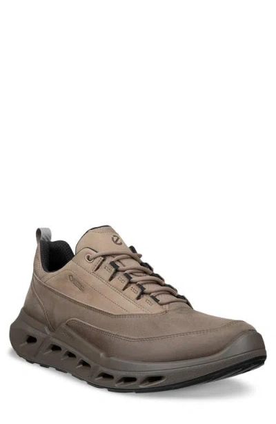 Ecco Biom 720 Low Top Waterproof Sneaker In Brown