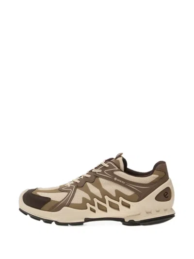 Ecco Biom Aex Gtx Sneakers In Neutrals