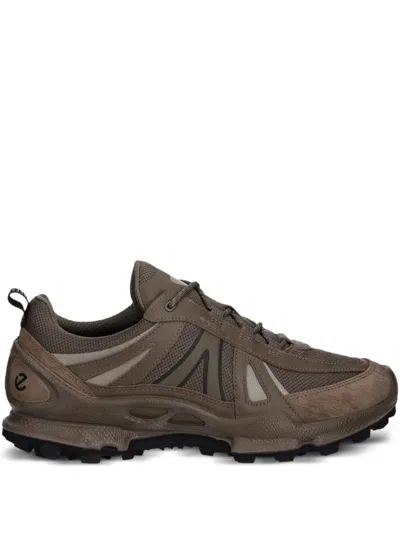 Ecco Biom C-trail Sneakers In Brown