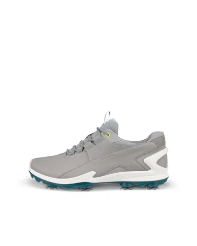 Ecco Golf Biom Tour In Grey